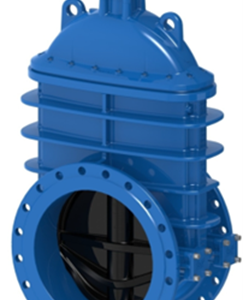 Gate Valve