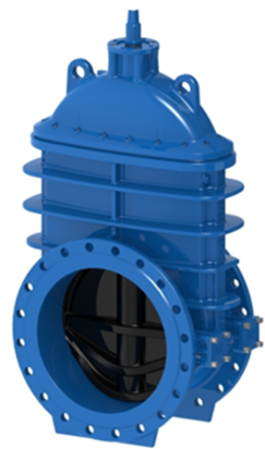 Gate Valve