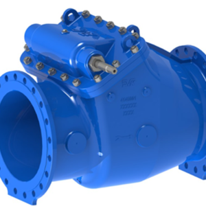 Swing Check Valve